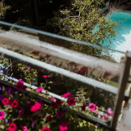 Mary's Dream Manoppello