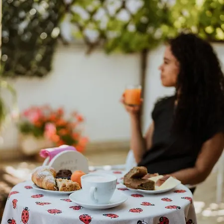 Mary's Dream Manoppello