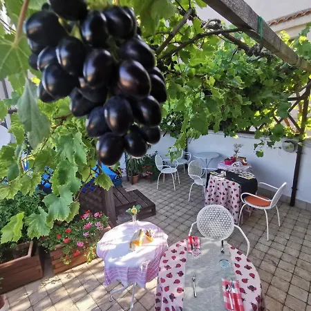 Mary's Dream Manoppello