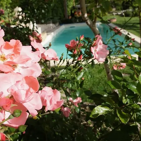 Bed & Breakfast Mary's Dream