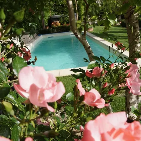 Bed & Breakfast Mary's Dream Manoppello