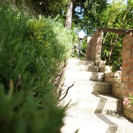 Mary's Dream Bed & Breakfast