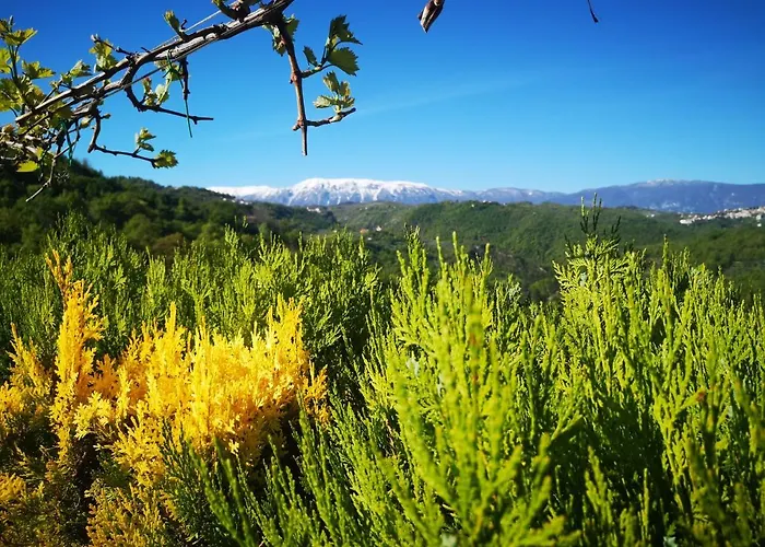 Mary's Dream Отель типа 