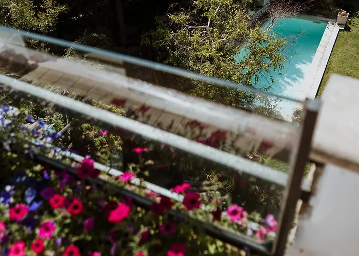 Mary's Dream Manoppello