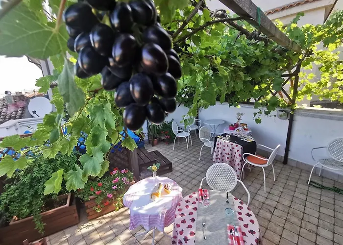 Mary's Dream Manoppello